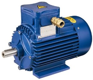 انواع الکتروموتور AC